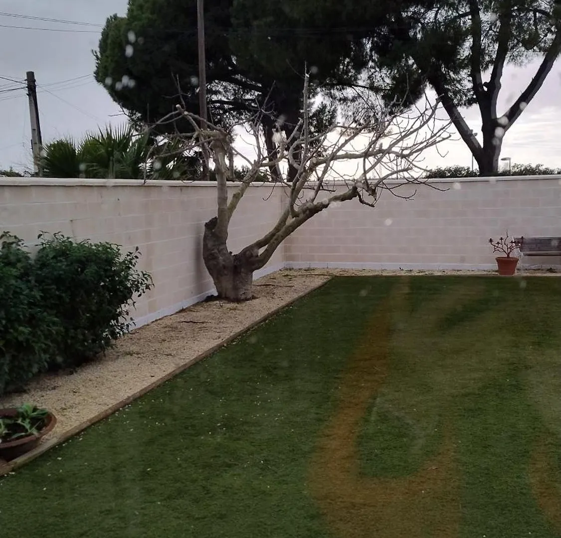 Casa Oliva 52 Apartment Seville Homestay