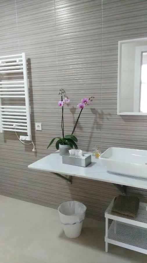 Homestay Casa Oliva 52 Apartment Seville Spain